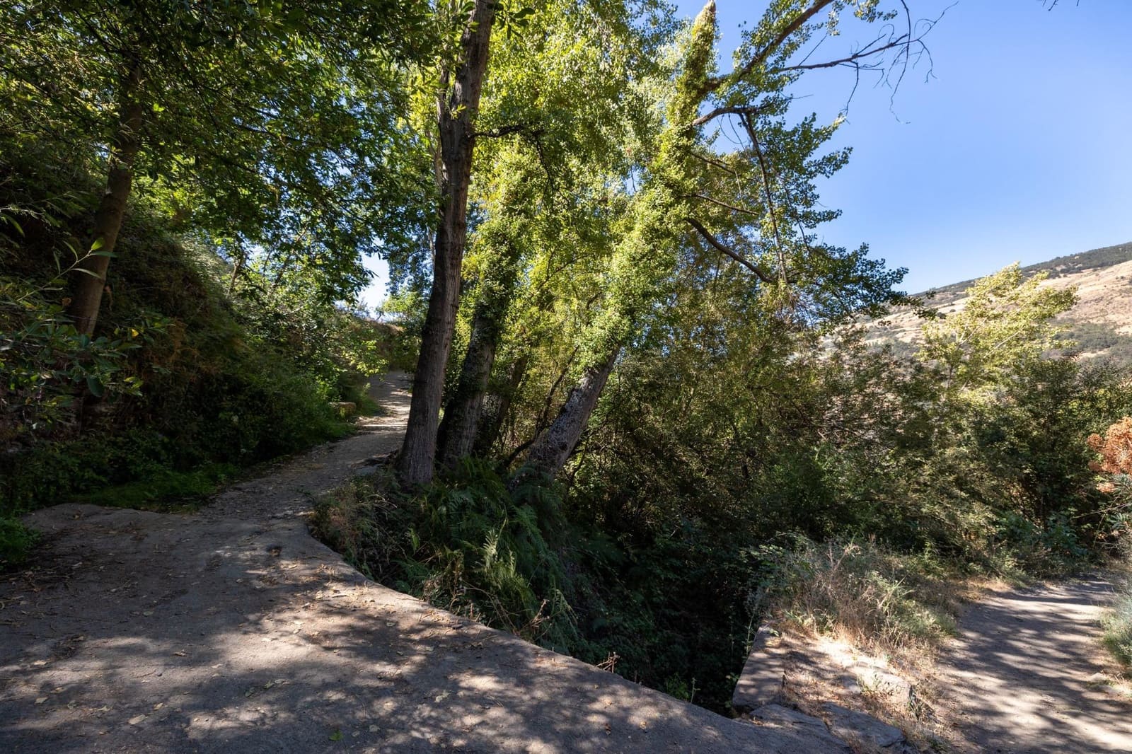 Terreno Non Edificato in vendita in Bubion - 60.000 € (Rif: 8498699)