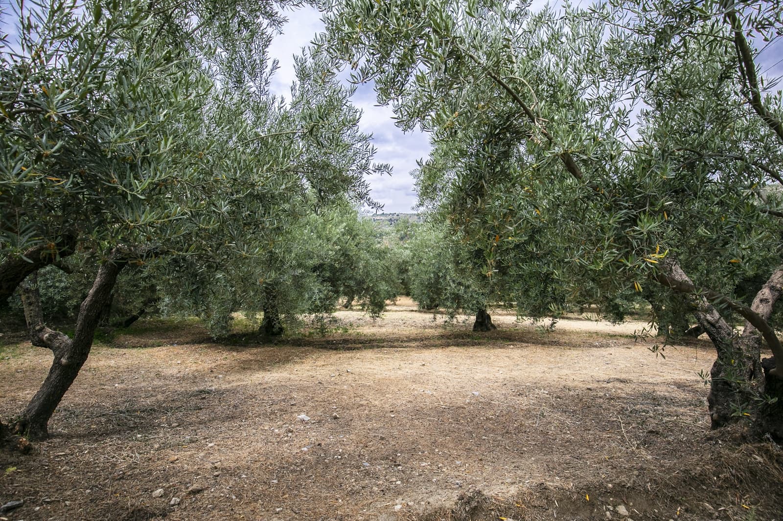 Bouwgrond te koop in Huetor Santillan - € 88.500 (Ref: 8608334)