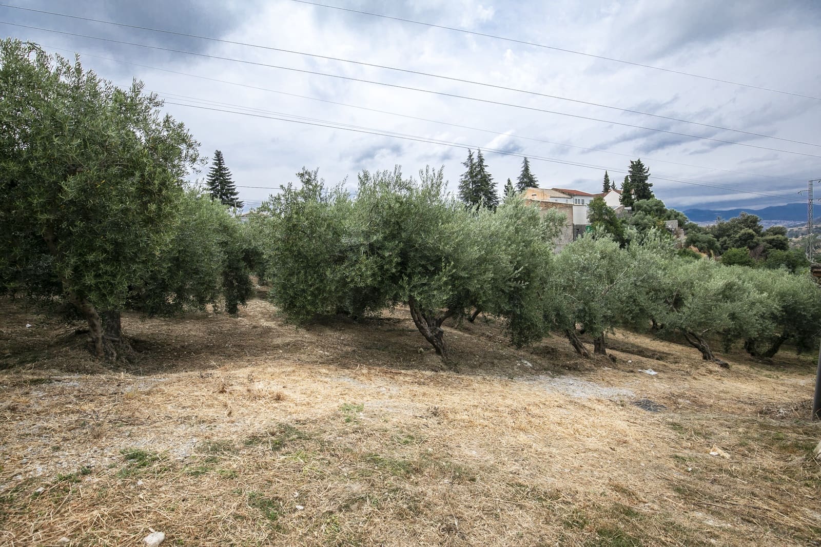 Bouwgrond te koop in Huetor Santillan - € 88.500 (Ref: 8608334)