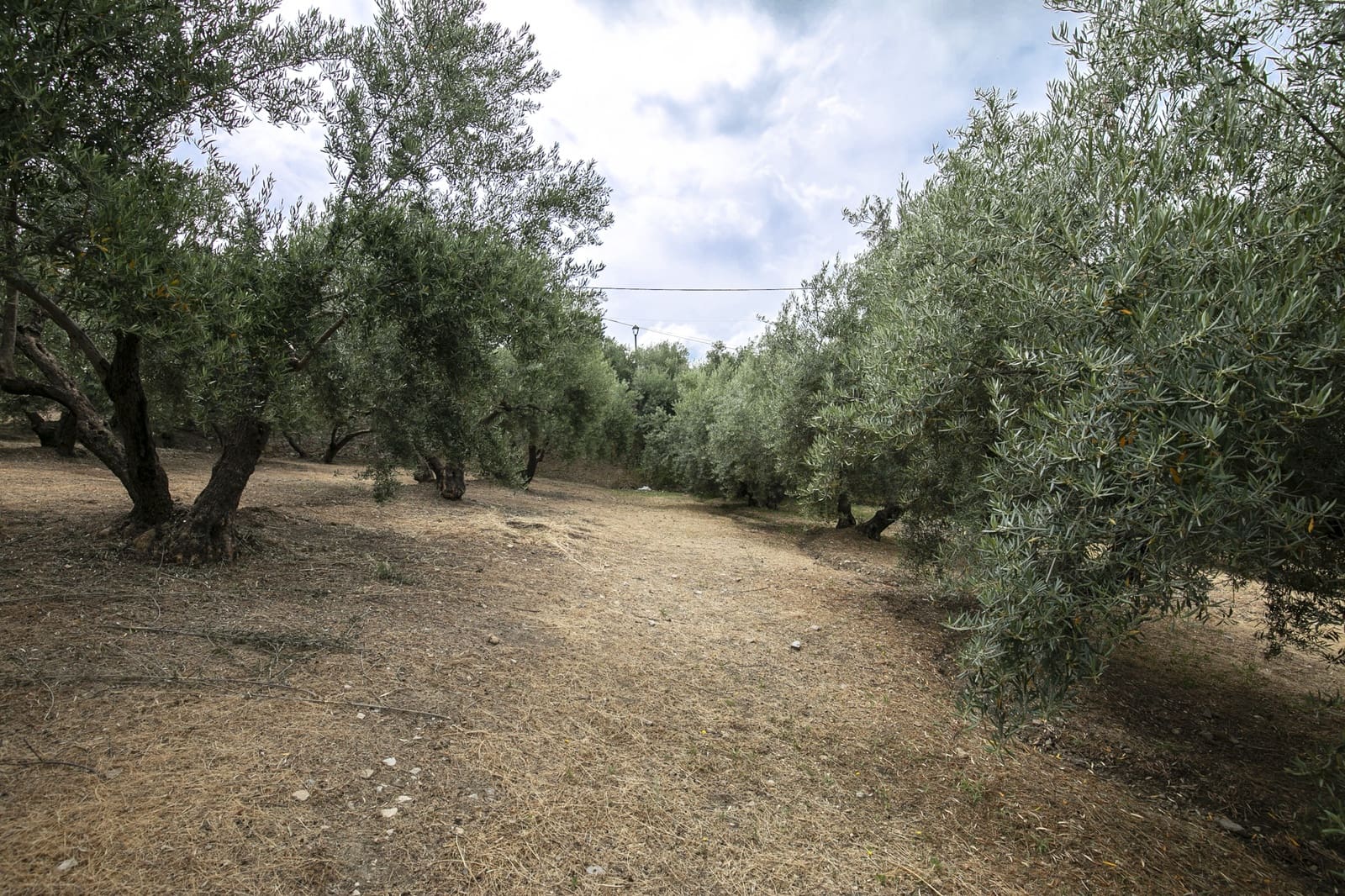 Bouwgrond te koop in Huetor Santillan - € 88.500 (Ref: 8608334)