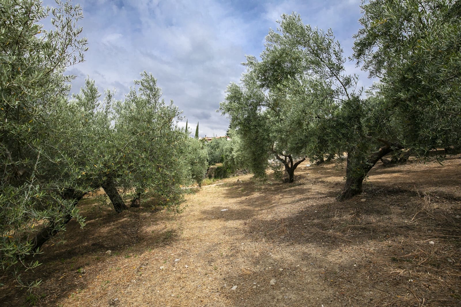 Bouwgrond te koop in Huetor Santillan - € 88.500 (Ref: 8608334)