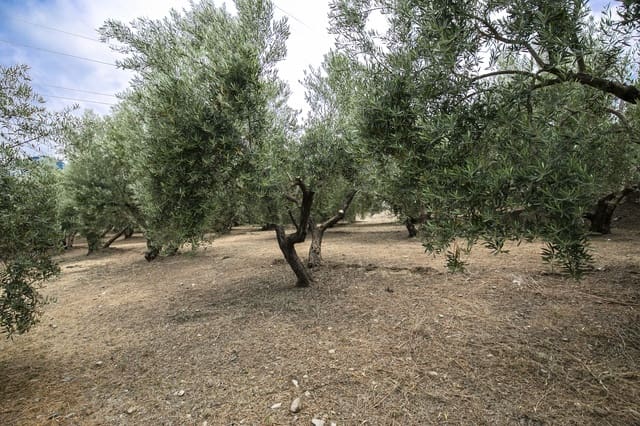 Bouwgrond te koop in Huétor Santillán - € 88.500 (Ref: 8608334)