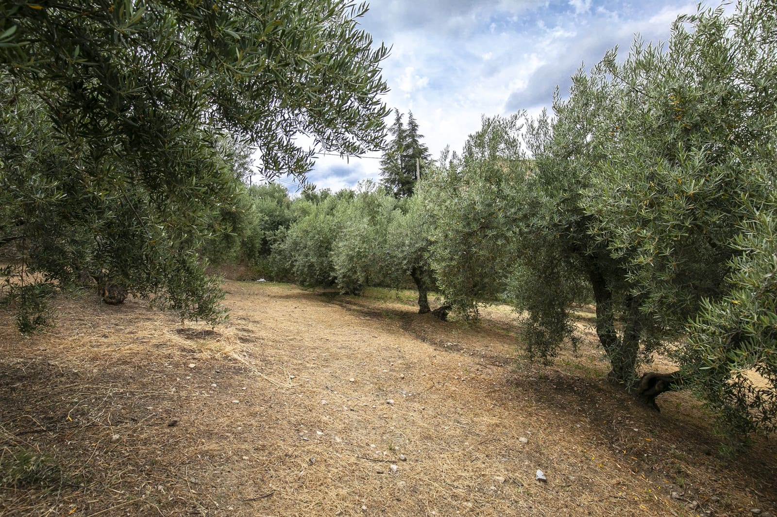 Bouwgrond te koop in Huetor Santillan - € 88.500 (Ref: 8608334)