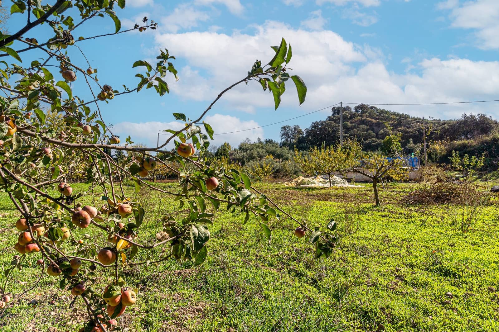 4 soveværelse Finca/Landehus til salg i Castillo de Locubin med swimmingpool - € 200.000 (Ref: 8639389)