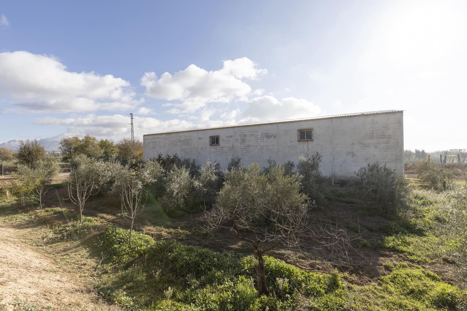 Bedrijf te koop in Albolote - € 155.000 (Ref: 8691002)