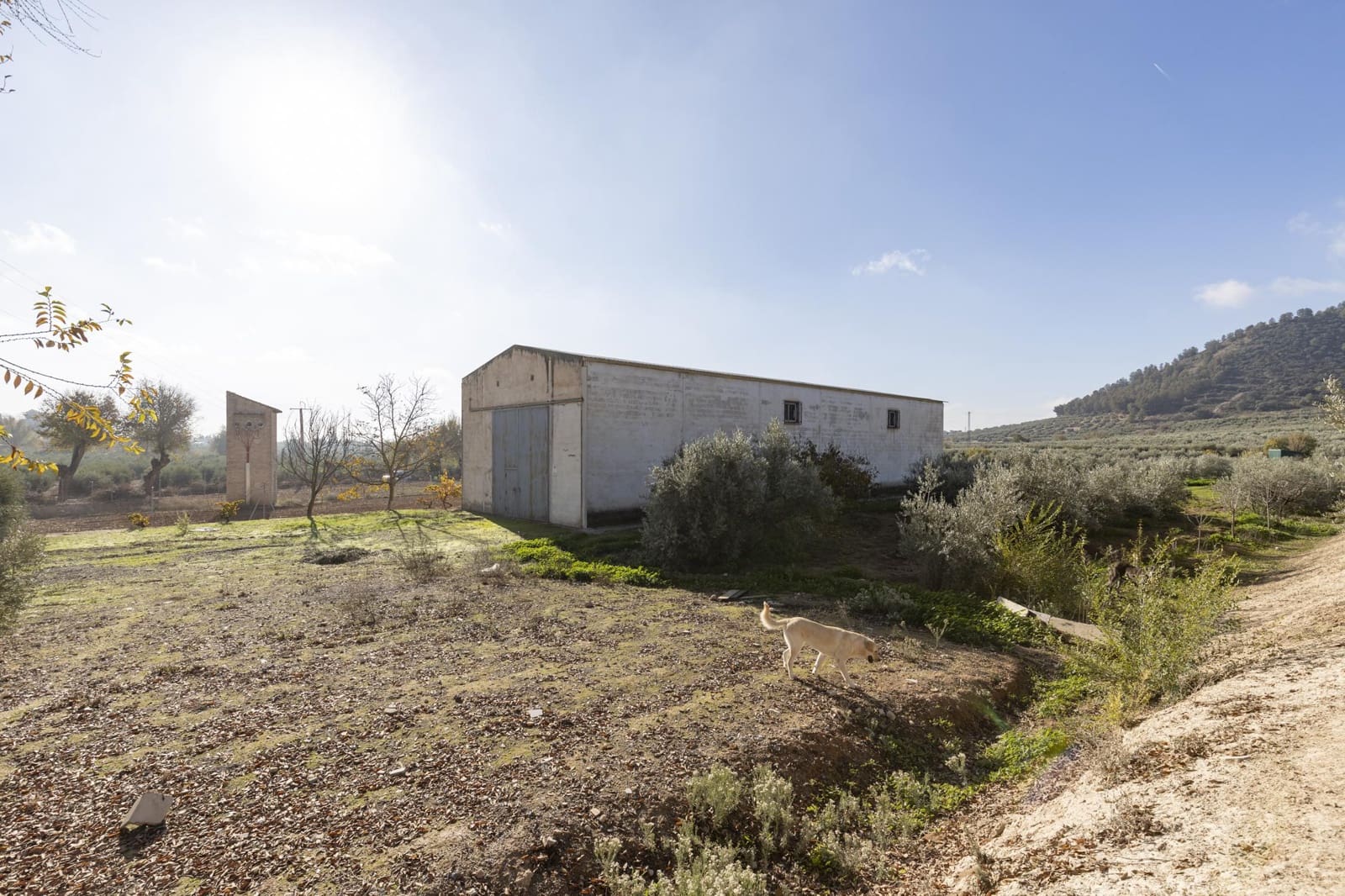 Bedrijf te koop in Albolote - € 155.000 (Ref: 8691002)