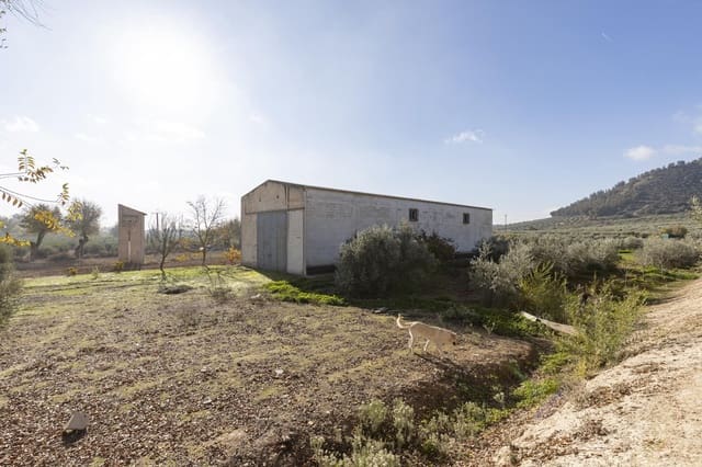 Business for sale in Albolote - € 155,000 (Ref: 8691002)