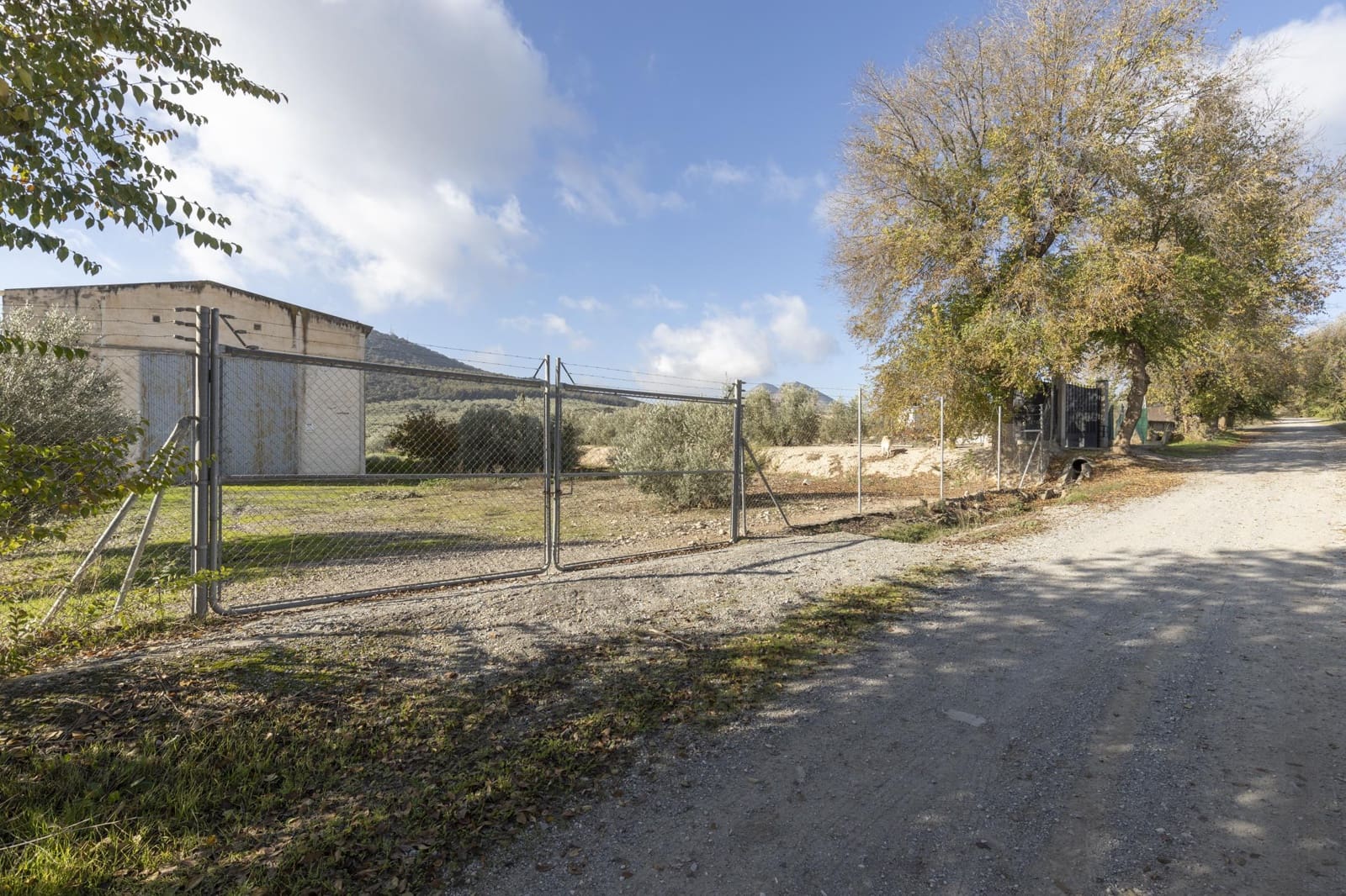 Bedrijf te koop in Albolote - € 155.000 (Ref: 8691002)