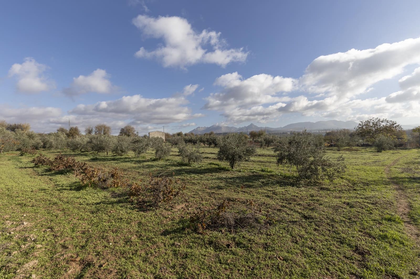 Bedrijf te koop in Albolote - € 155.000 (Ref: 8691002)