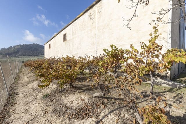 Business for sale in Albolote - € 155,000 (Ref: 8691002)