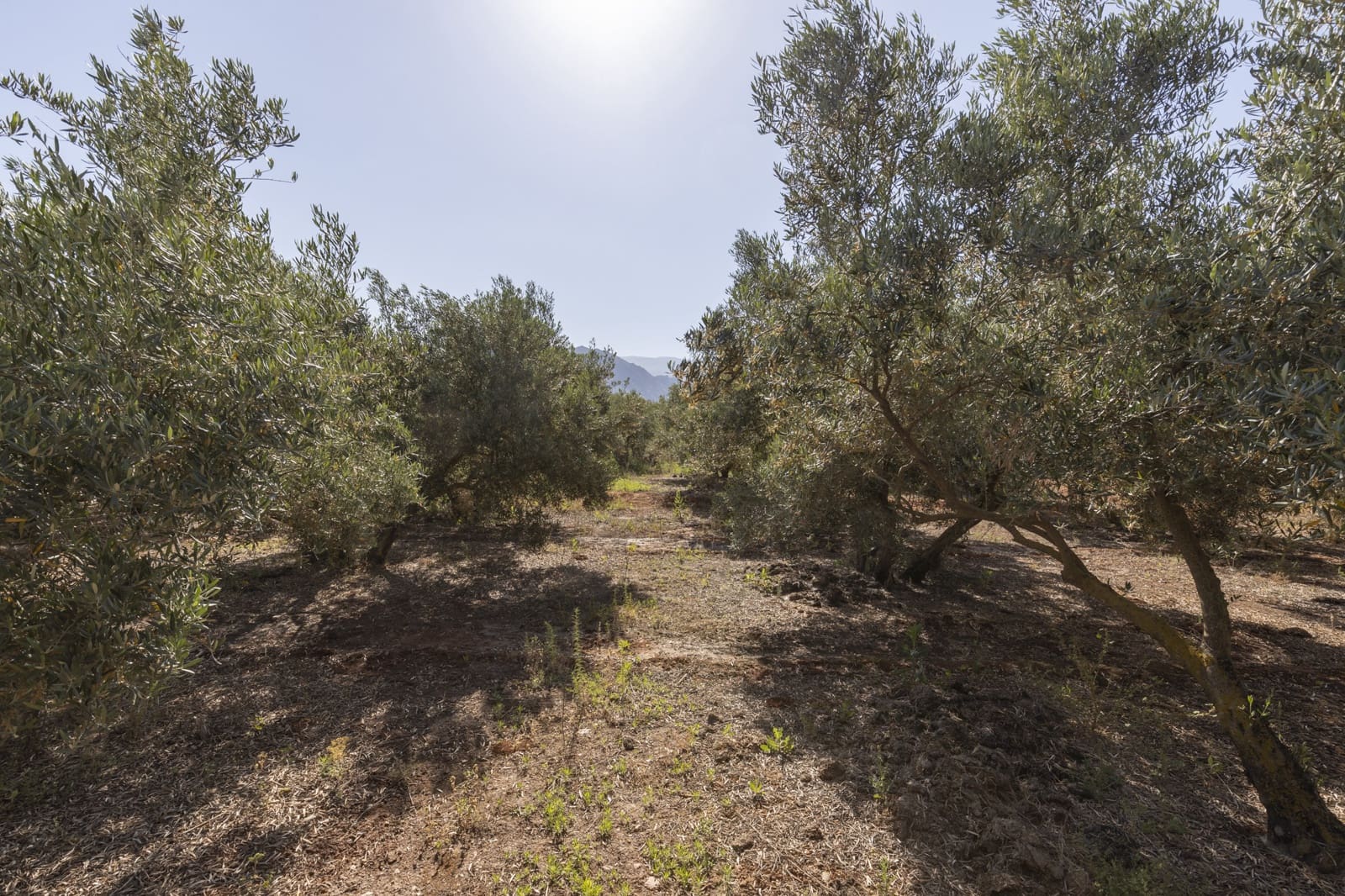 Grond te koop in Cozvijar - € 16.000 (Ref: 8706086)