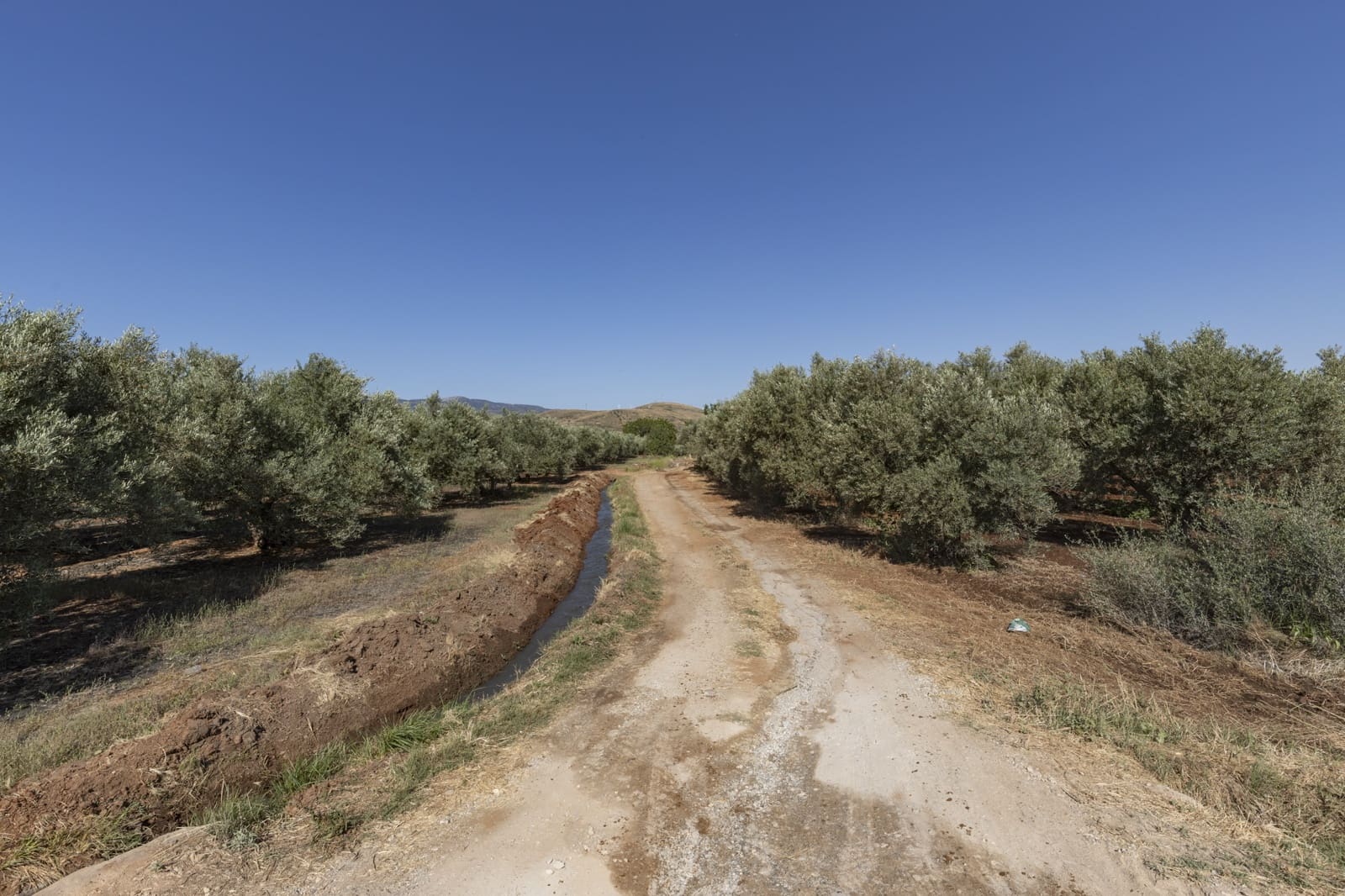 Grond te koop in Cozvijar - € 16.000 (Ref: 8706086)