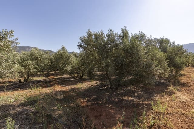 Grond te koop in Cozvijar, Villamena - € 16.000 (Ref: 8706086)