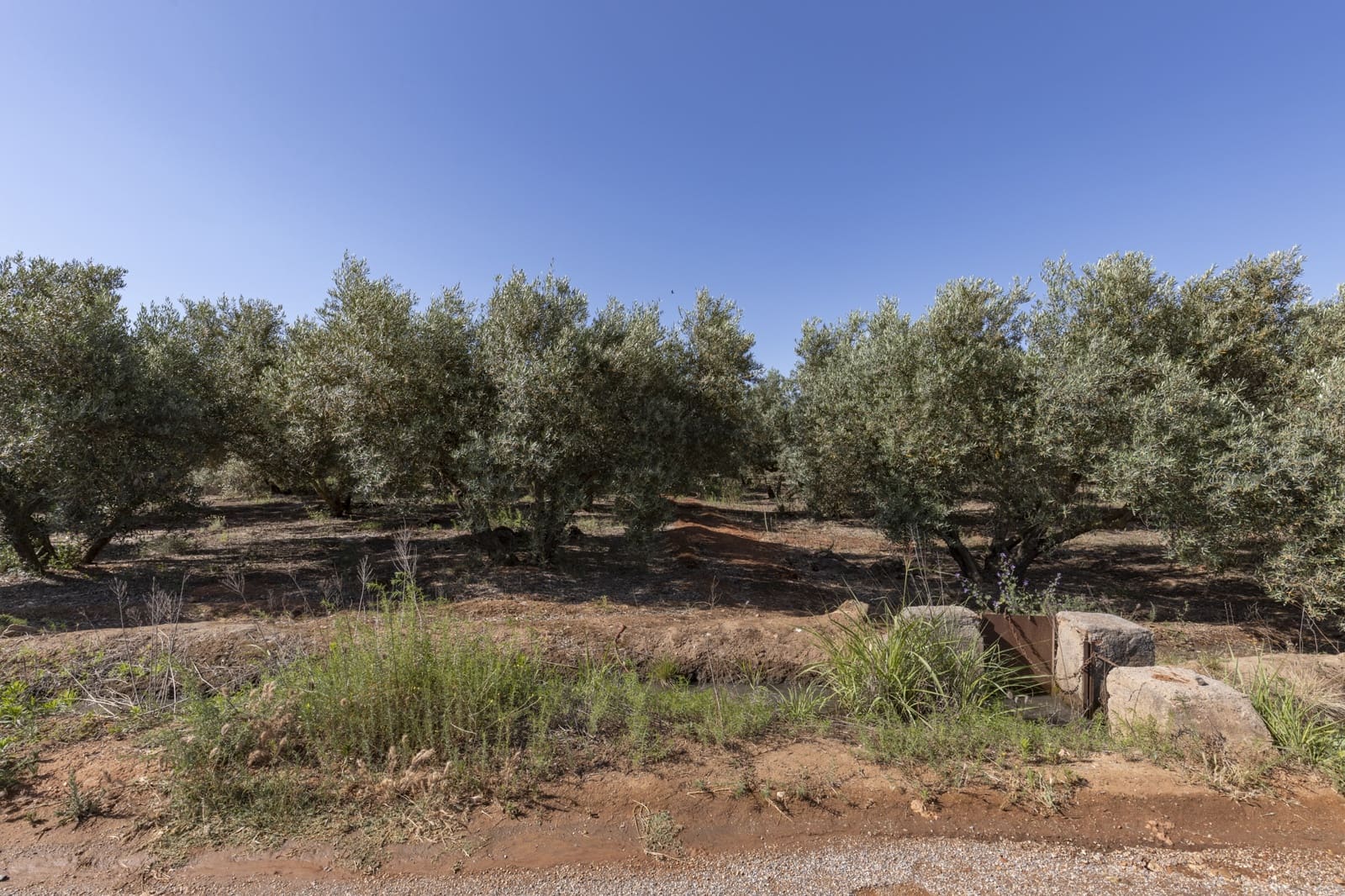 Grond te koop in Cozvijar - € 16.000 (Ref: 8706086)