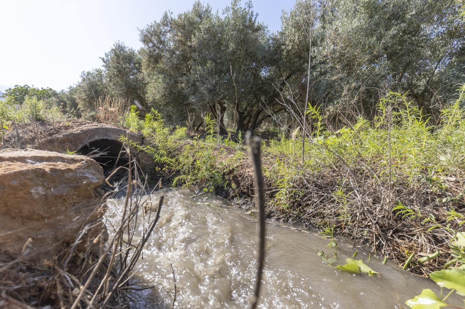 Grond te koop in Cozvijar - € 16.000 (Ref: 8706086)