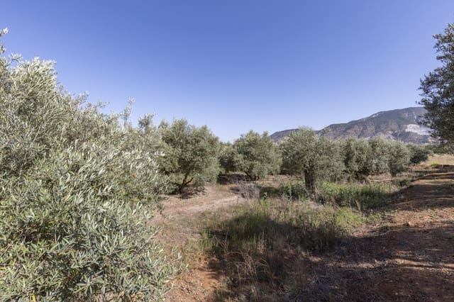 Grond te koop in Cozvijar, Villamena - € 16.000 (Ref: 8706086)