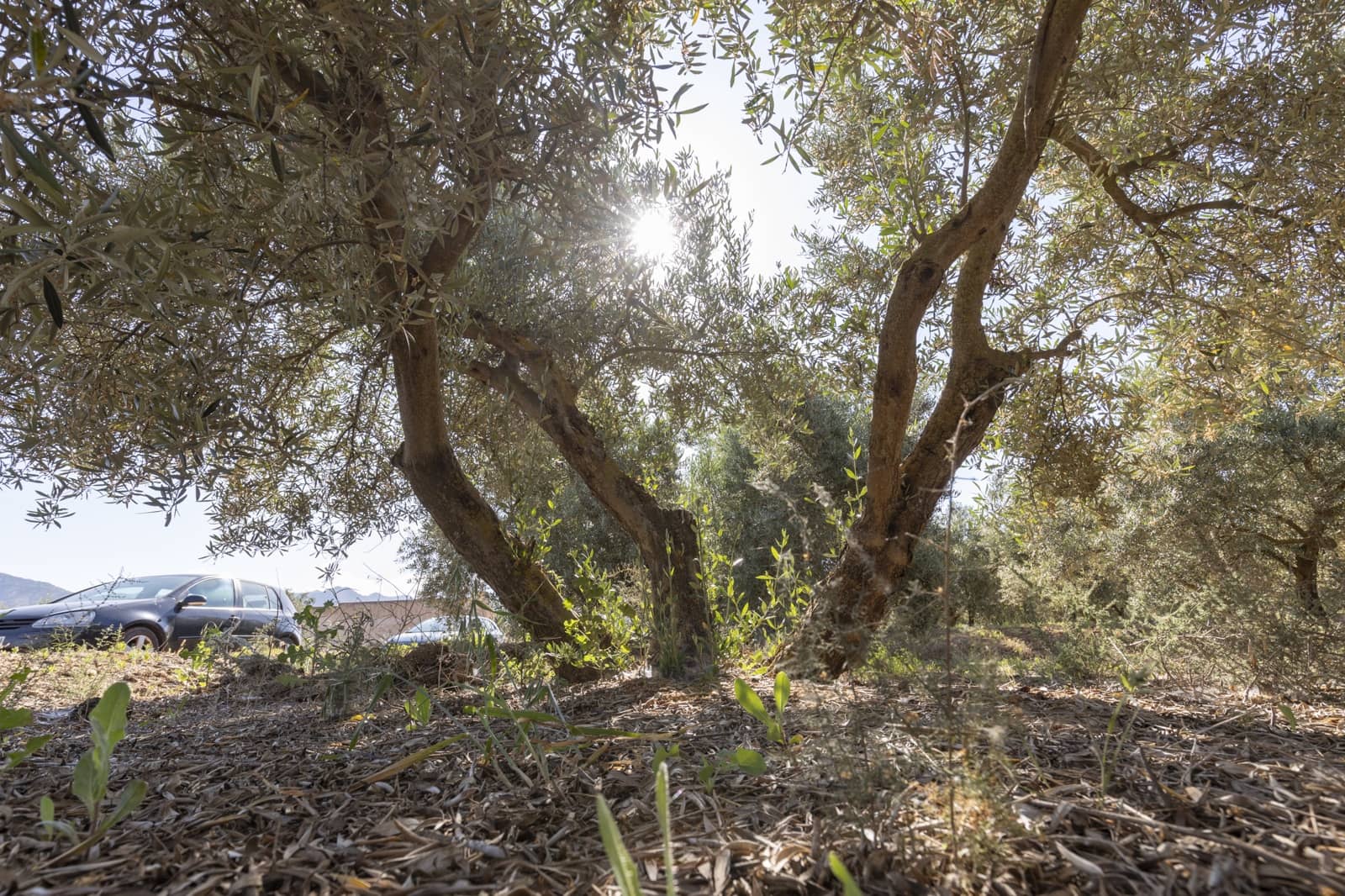 Grond te koop in Cozvijar - € 16.000 (Ref: 8706086)