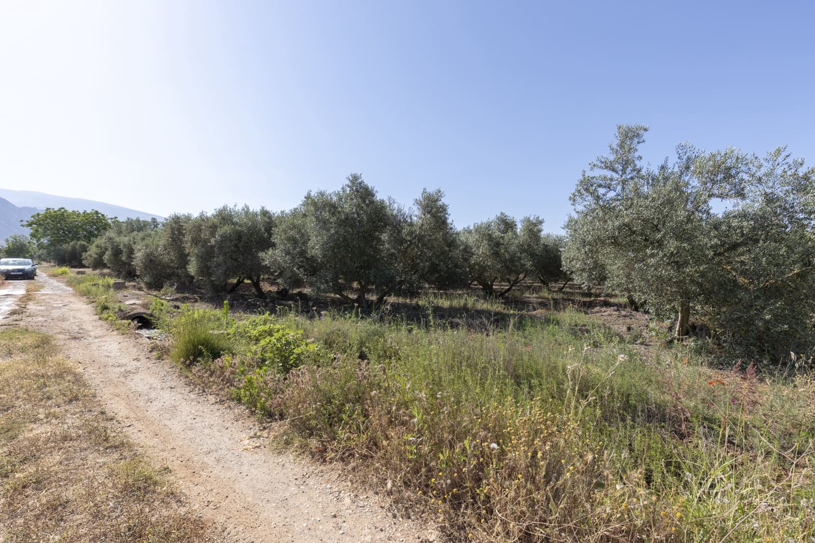 Grond te koop in Cozvijar - € 16.000 (Ref: 8706086)