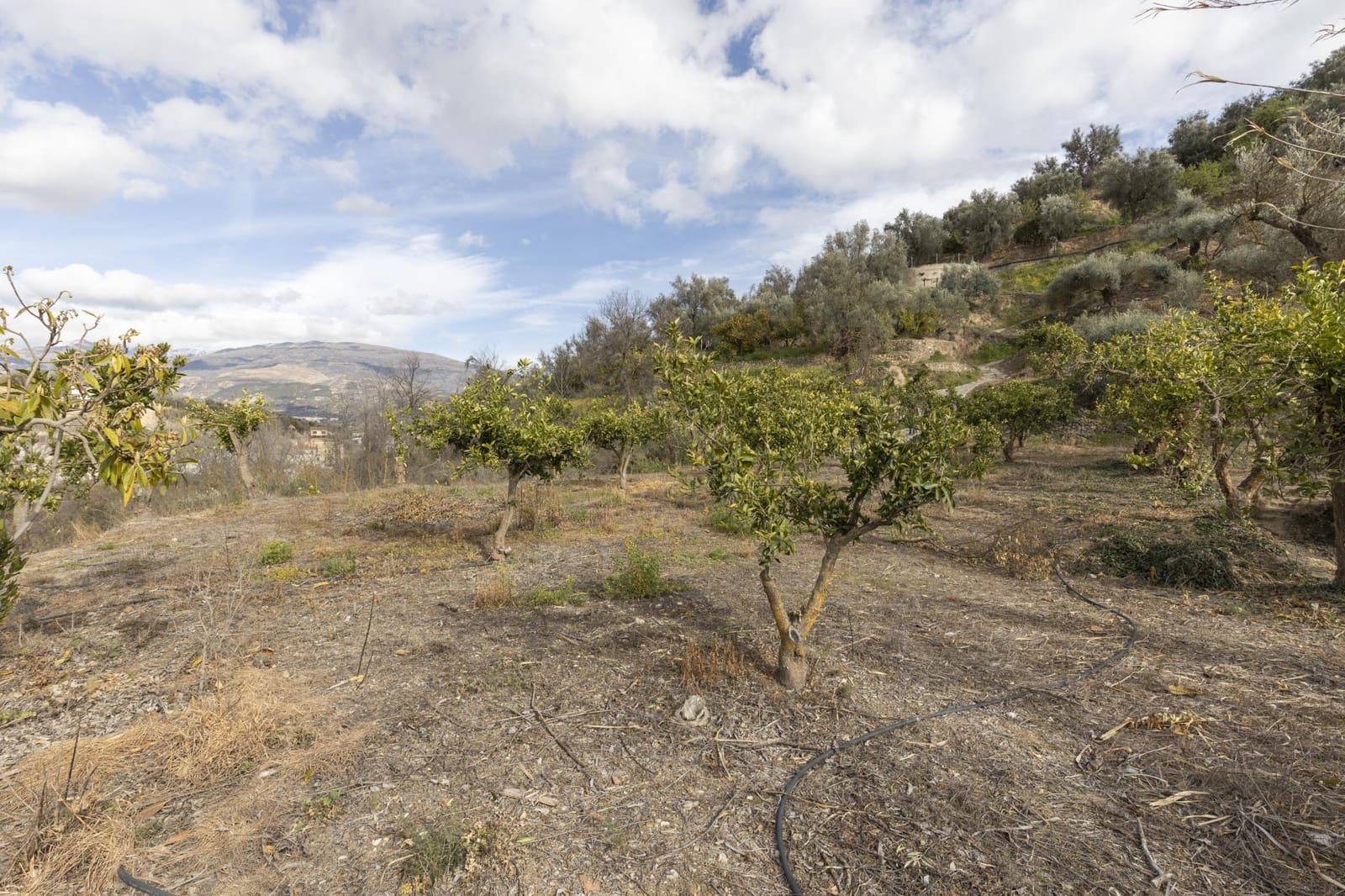 Finca/Landhuis te koop in Saleres - € 52.000 (Ref: 8810311)