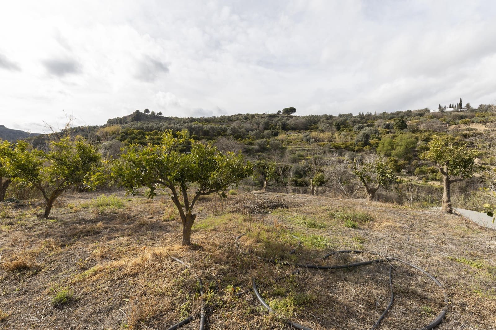 Finca/Landhuis te koop in Saleres - € 52.000 (Ref: 8810311)