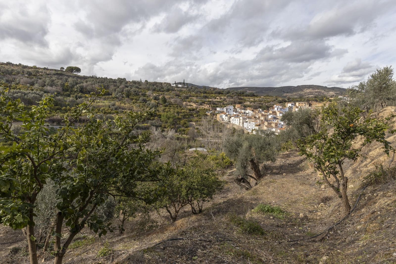 Finca/Landhuis te koop in Saleres - € 52.000 (Ref: 8810311)