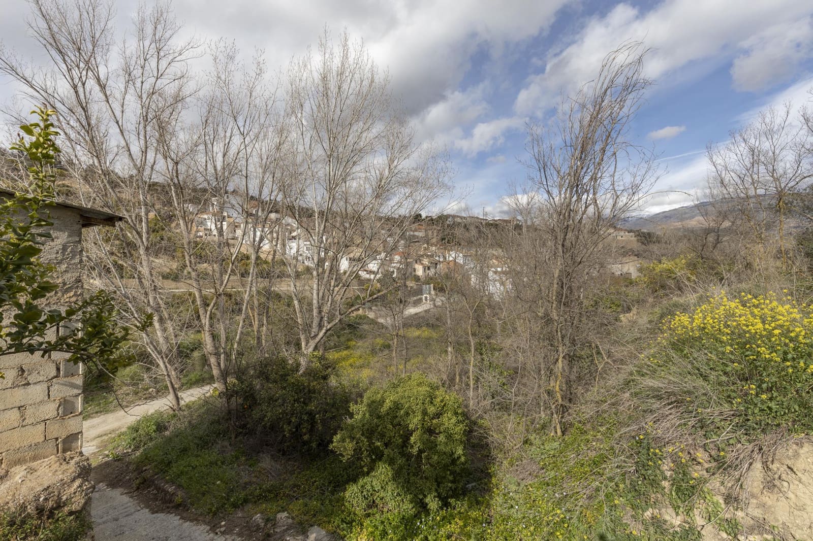 Finca/Landhuis te koop in Saleres - € 52.000 (Ref: 8810311)