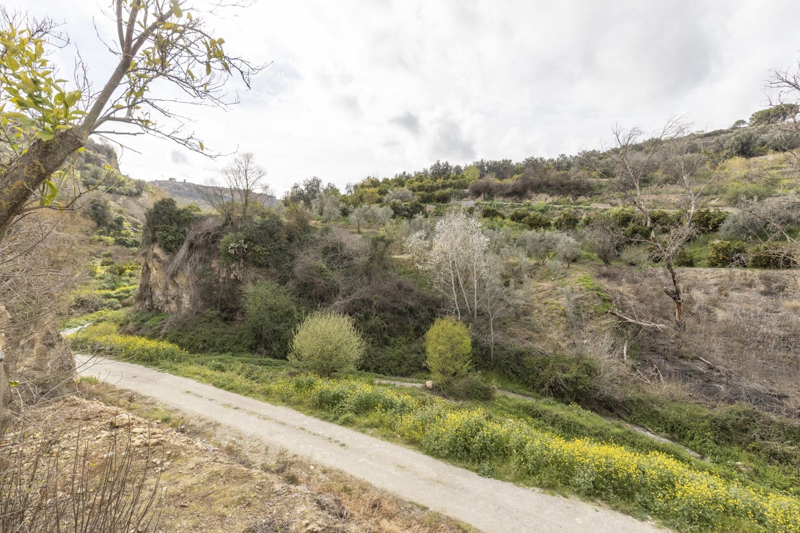 Finca/Landhuis te koop in Saleres - € 52.000 (Ref: 8810311)