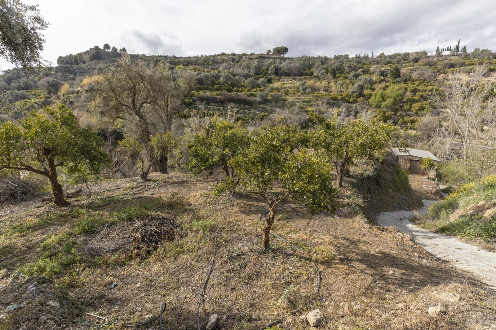 Finca/Landhuis te koop in Saleres - € 52.000 (Ref: 8810311)