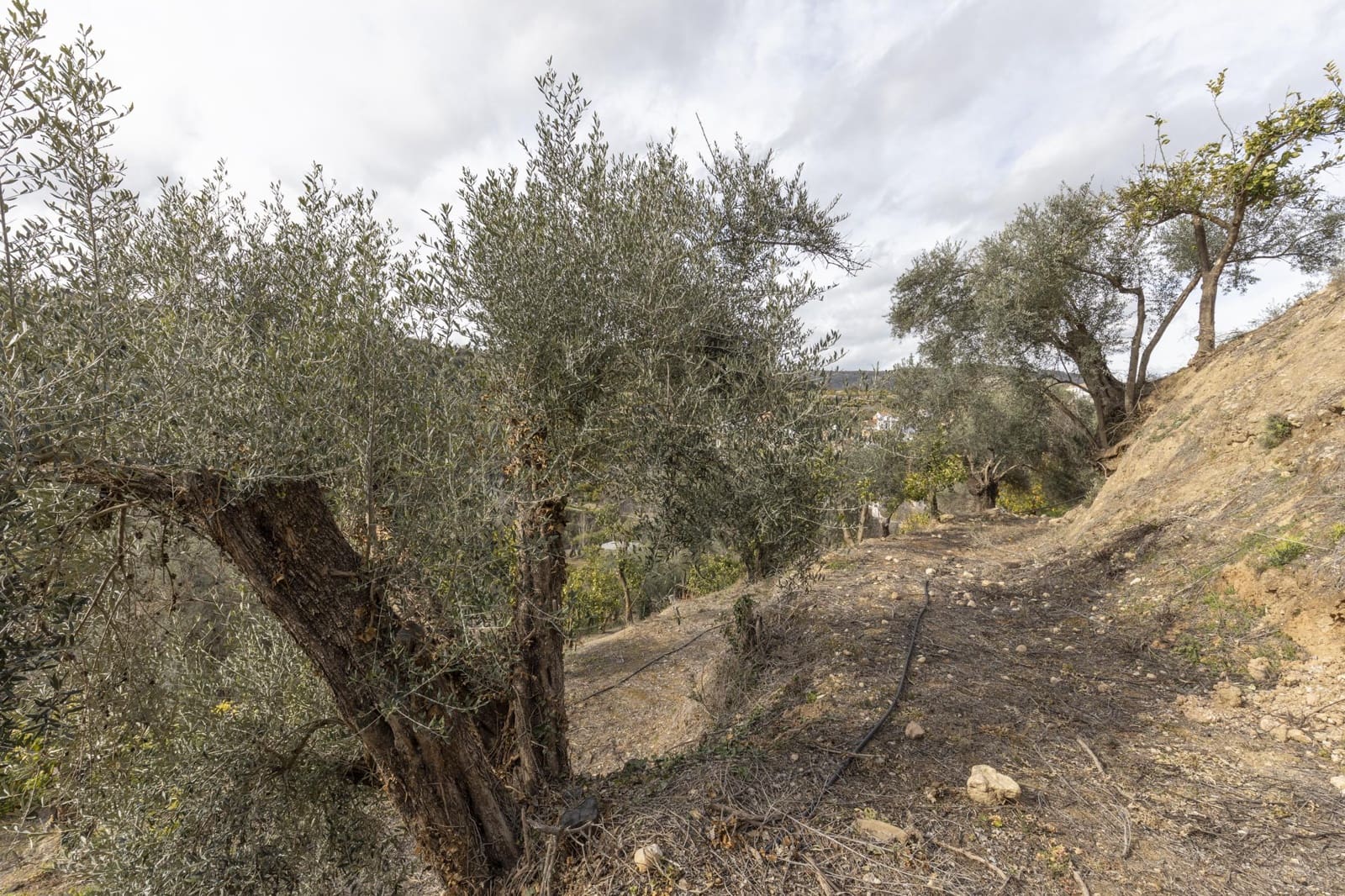 Finca/Landhuis te koop in Saleres - € 52.000 (Ref: 8810311)