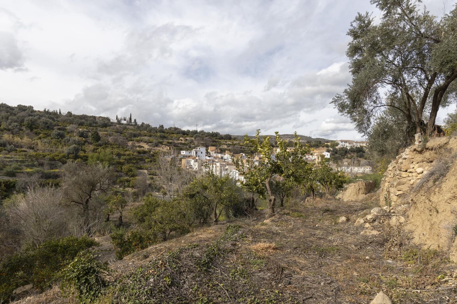 Finca/Landhuis te koop in Saleres - € 52.000 (Ref: 8810311)