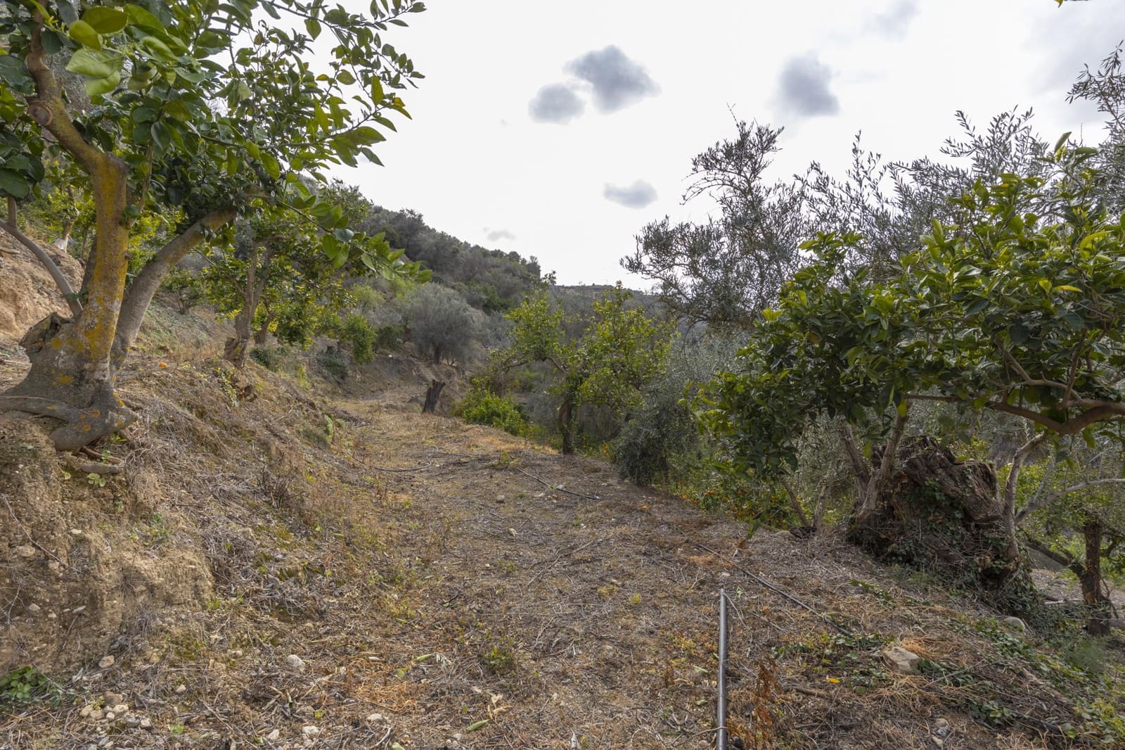 Finca/Landhuis te koop in Saleres - € 52.000 (Ref: 8810311)