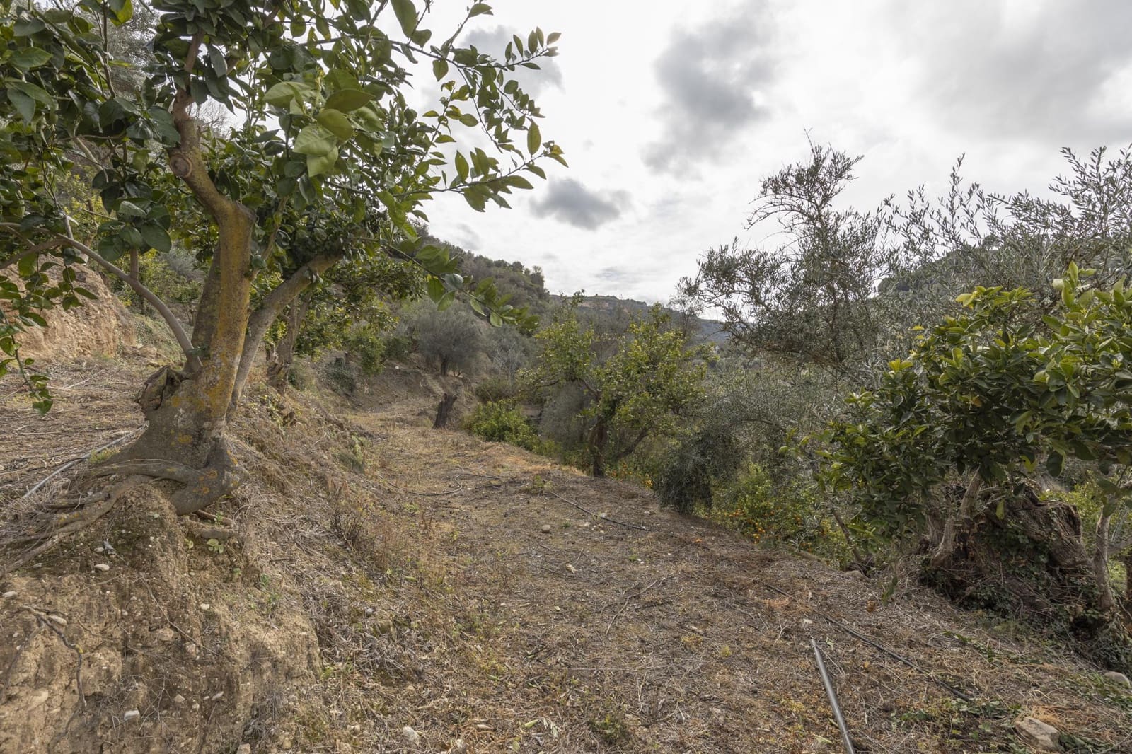 Finca/Landhuis te koop in Saleres - € 52.000 (Ref: 8810311)