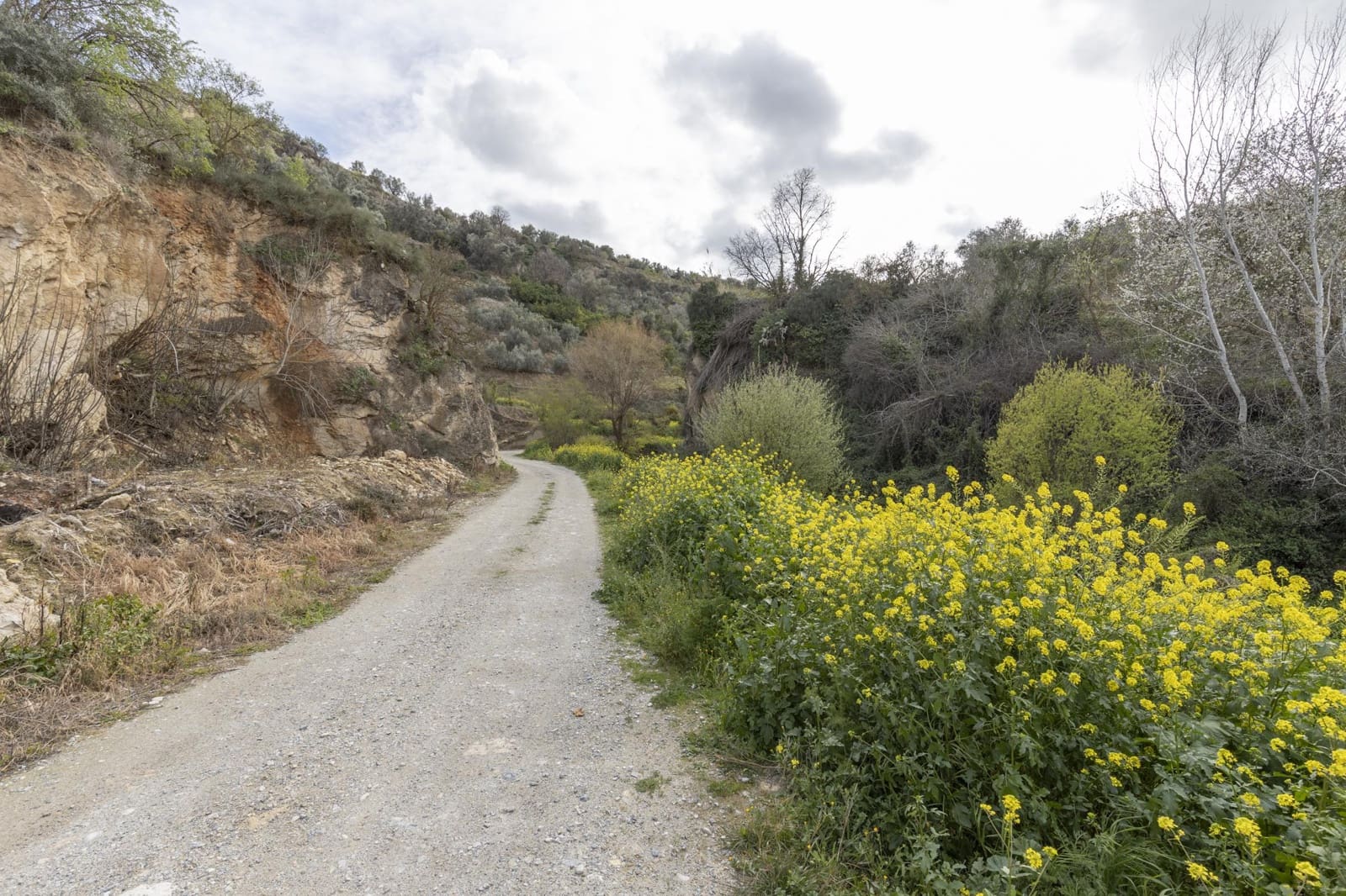 Finca/Landhuis te koop in Saleres - € 52.000 (Ref: 8810311)