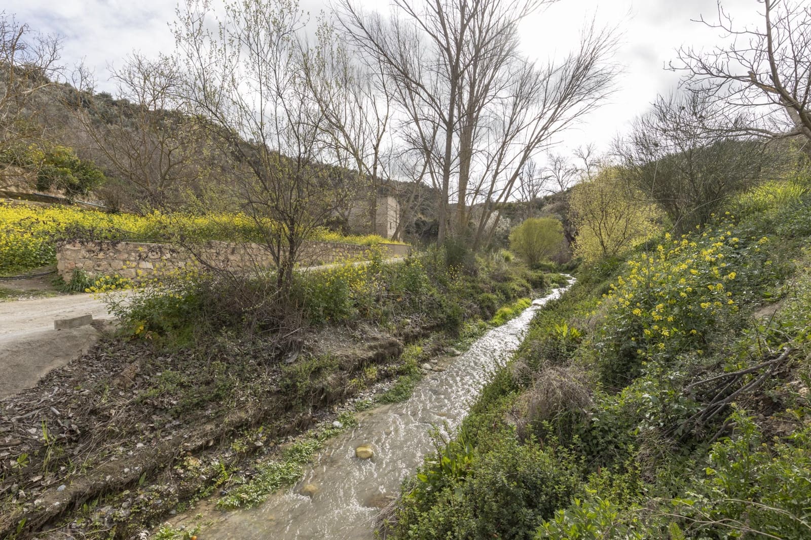 Finca/Landhuis te koop in Saleres - € 52.000 (Ref: 8810311)