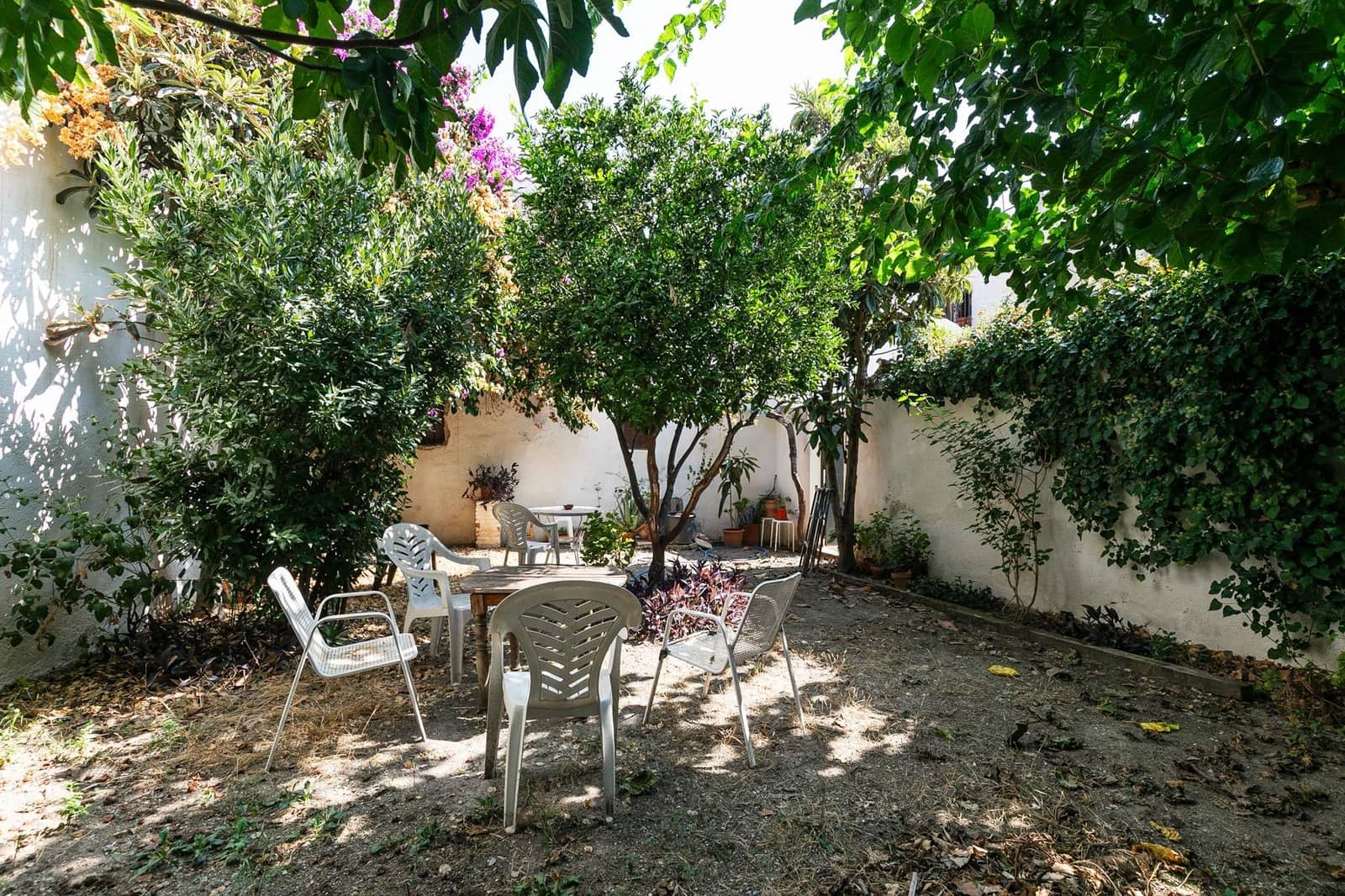 1 bedroom Apartment for rent in Granada city - € 450 (Ref: 8888429)