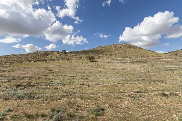 Undeveloped Land for sale in Beas de Guadix - € 2,000,000 (Ref: 9005383)