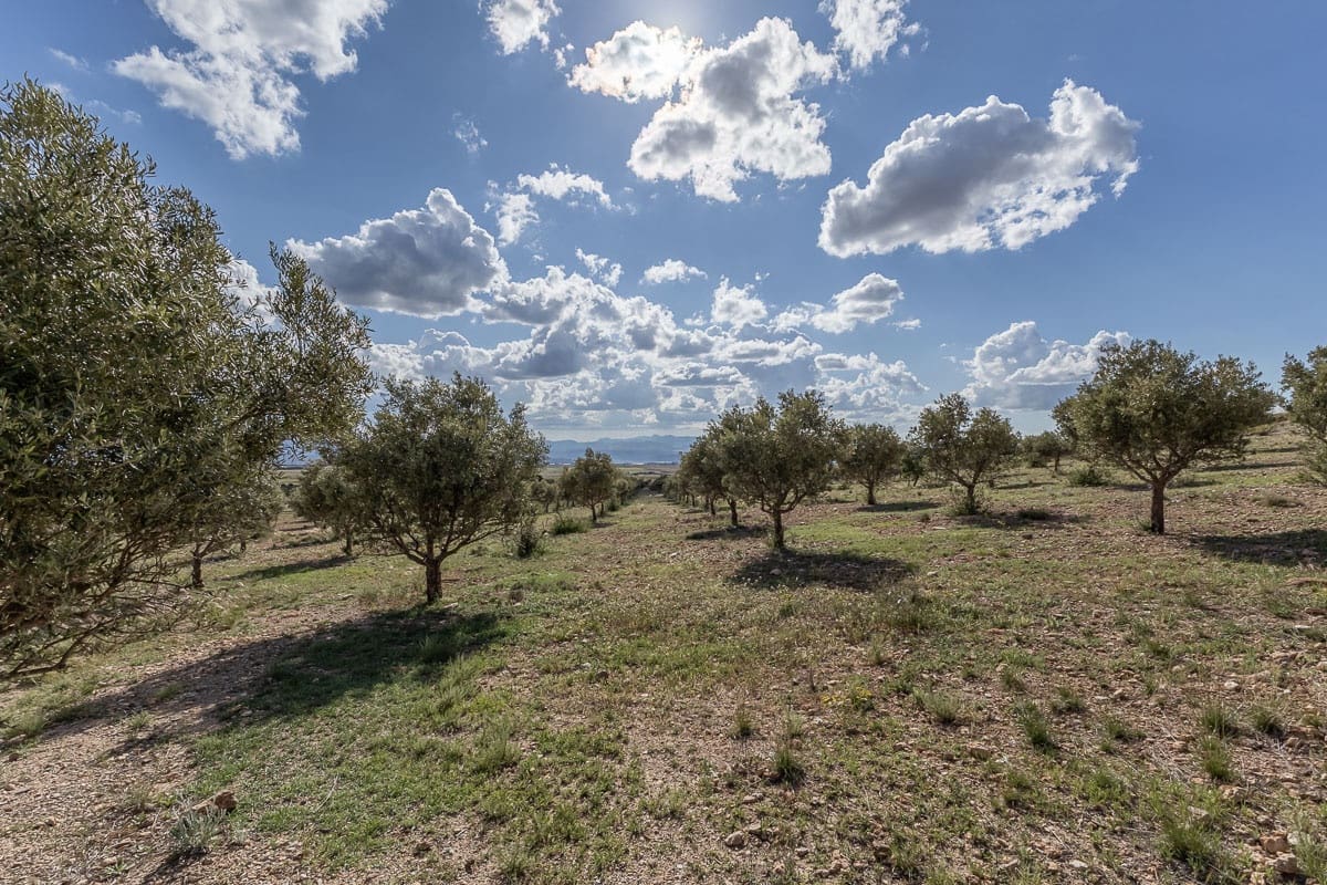 Grunde uden byggetilladelser til salg i Beas de Guadix - € 2.000.000 (Ref: 9005383)