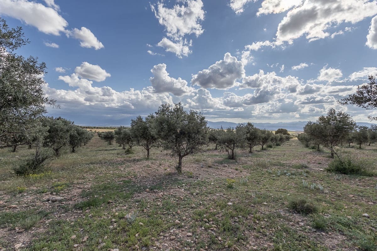 Grunde uden byggetilladelser til salg i Beas de Guadix - € 2.000.000 (Ref: 9005383)