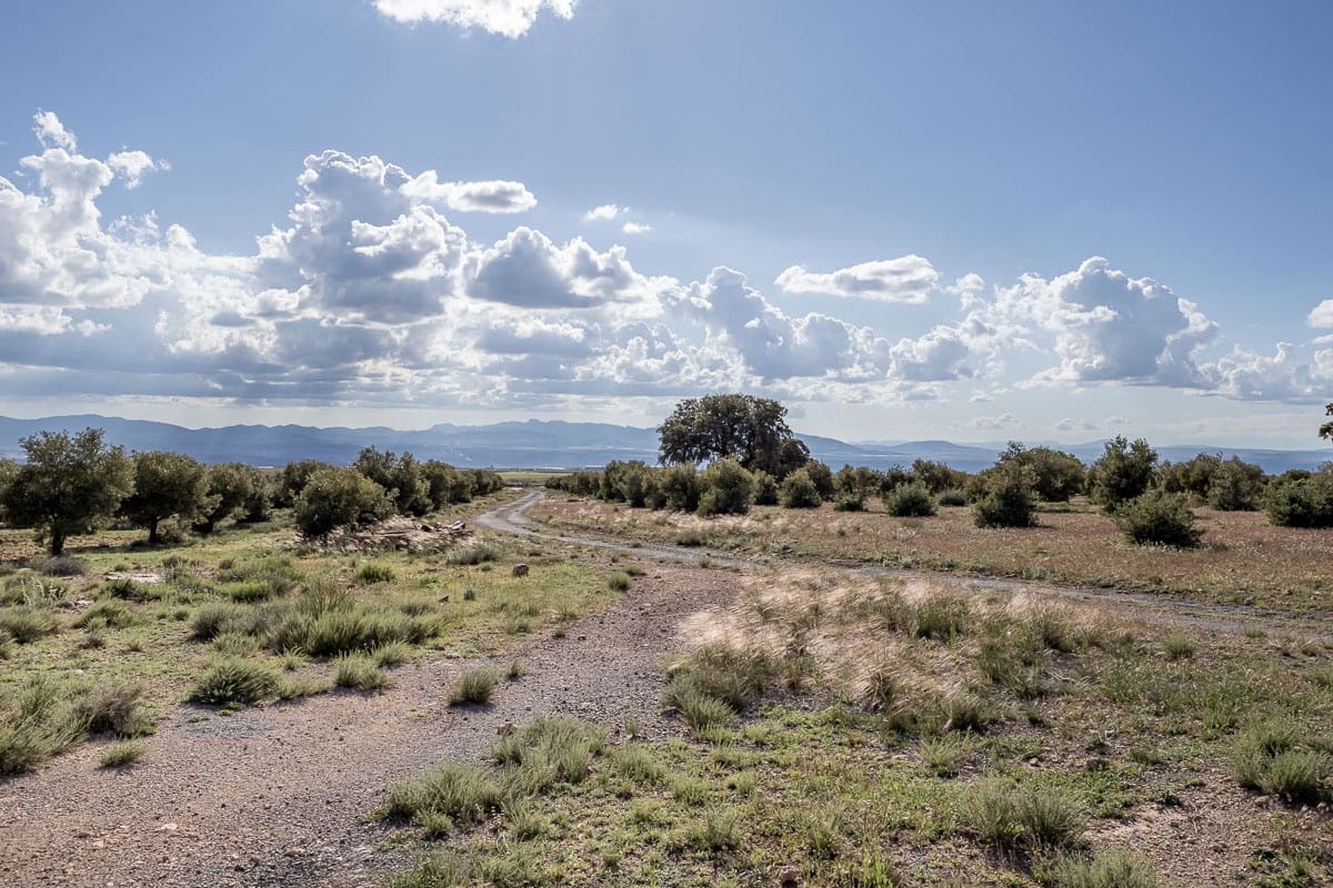 Grunde uden byggetilladelser til salg i Beas de Guadix - € 2.000.000 (Ref: 9005383)