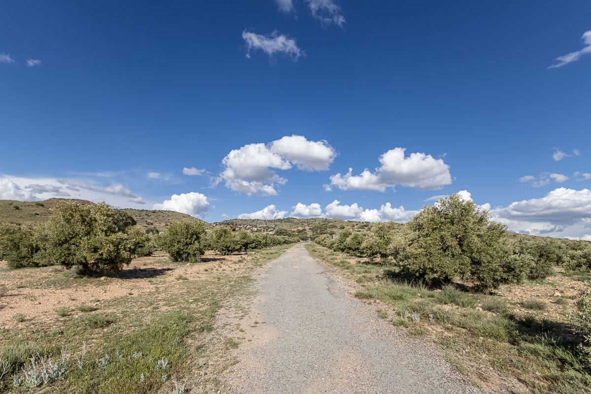 Grunde uden byggetilladelser til salg i Beas de Guadix - € 2.000.000 (Ref: 9005383)