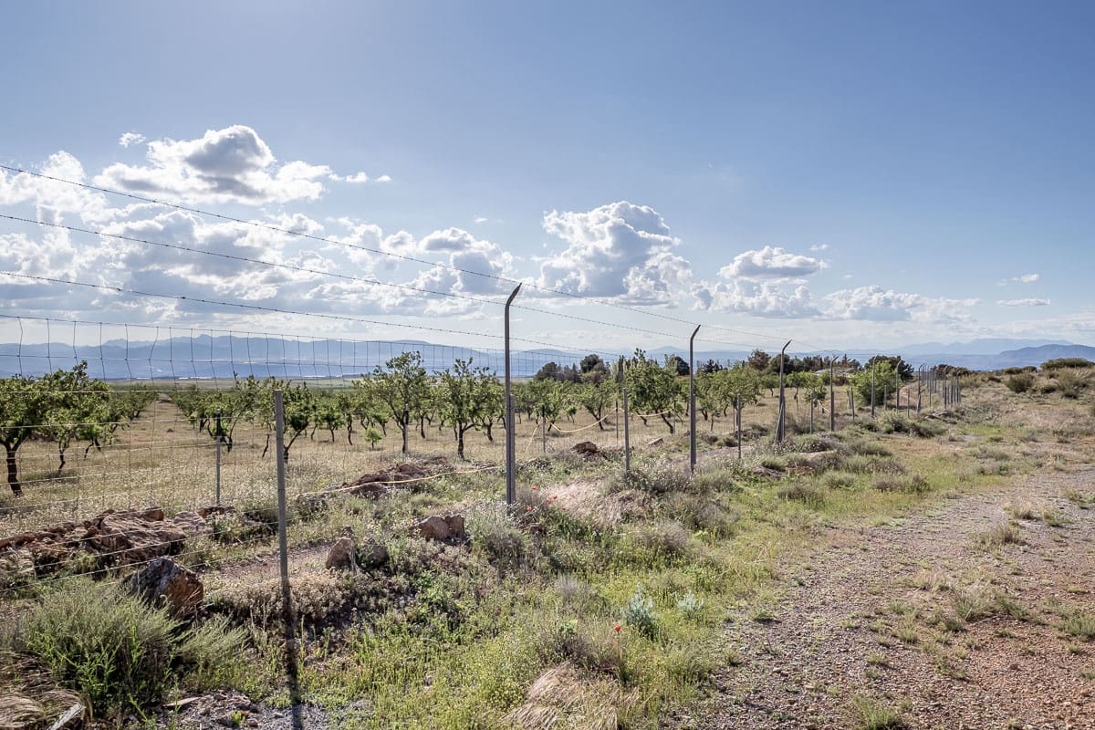 Grunde uden byggetilladelser til salg i Beas de Guadix - € 2.000.000 (Ref: 9005383)