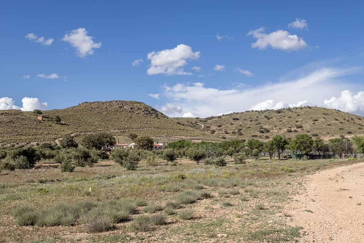 Grunde uden byggetilladelser til salg i Beas de Guadix - € 2.000.000 (Ref: 9005383)