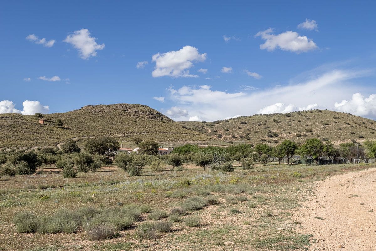 Undeveloped Land for sale in Guadix - € 1,650,000 (Ref: 9005383)