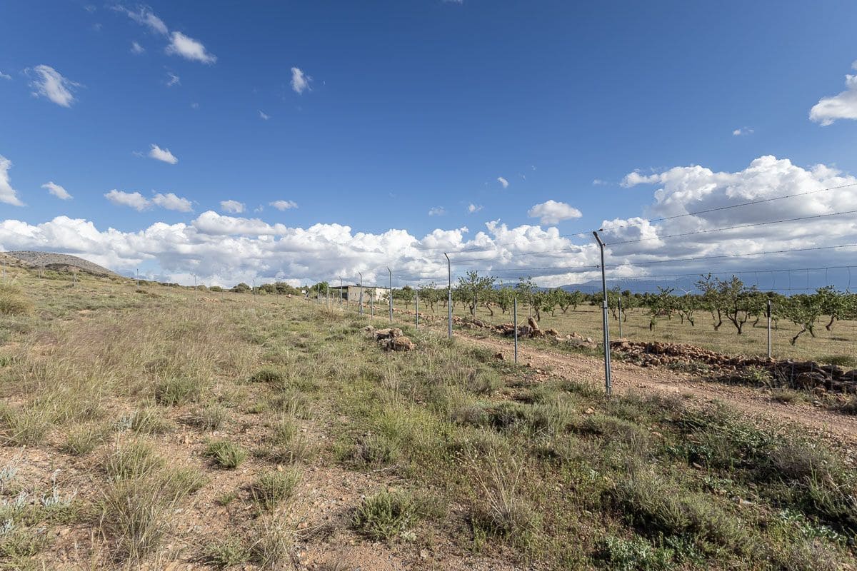 Undeveloped Land for sale in Guadix - € 1,650,000 (Ref: 9005383)