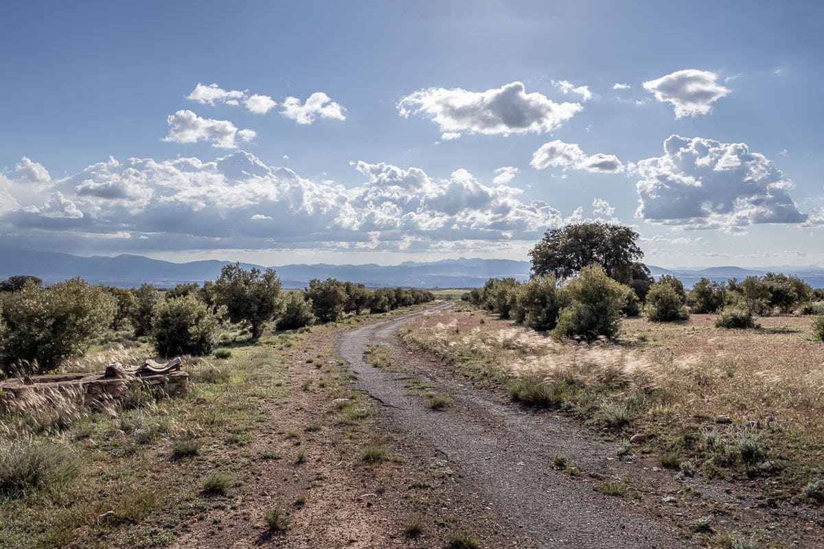 Undeveloped Land for sale in Guadix - € 1,650,000 (Ref: 9005383)