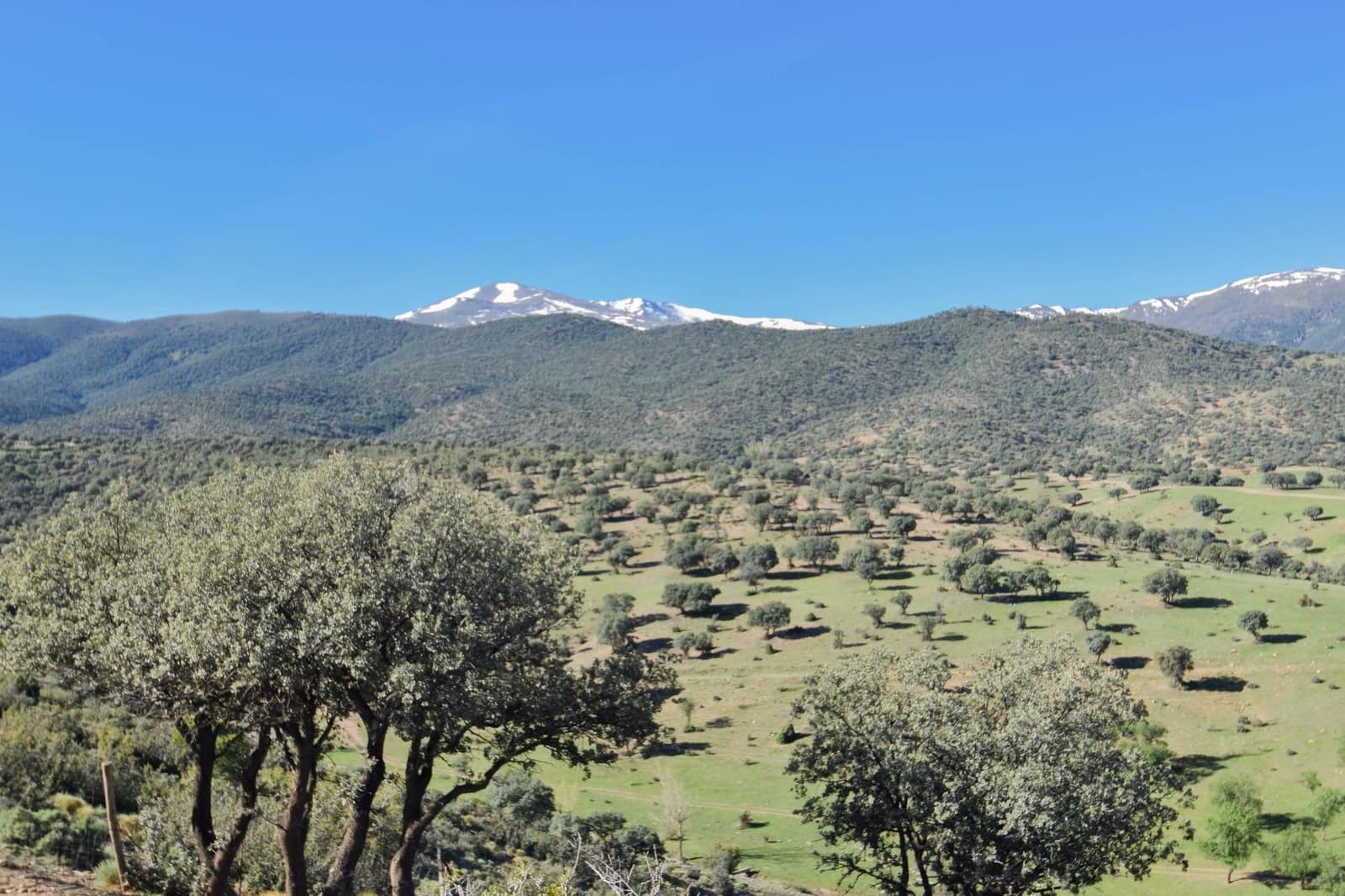 Grunde uden byggetilladelser til salg i Lugros - € 110.000 (Ref: 9020776)