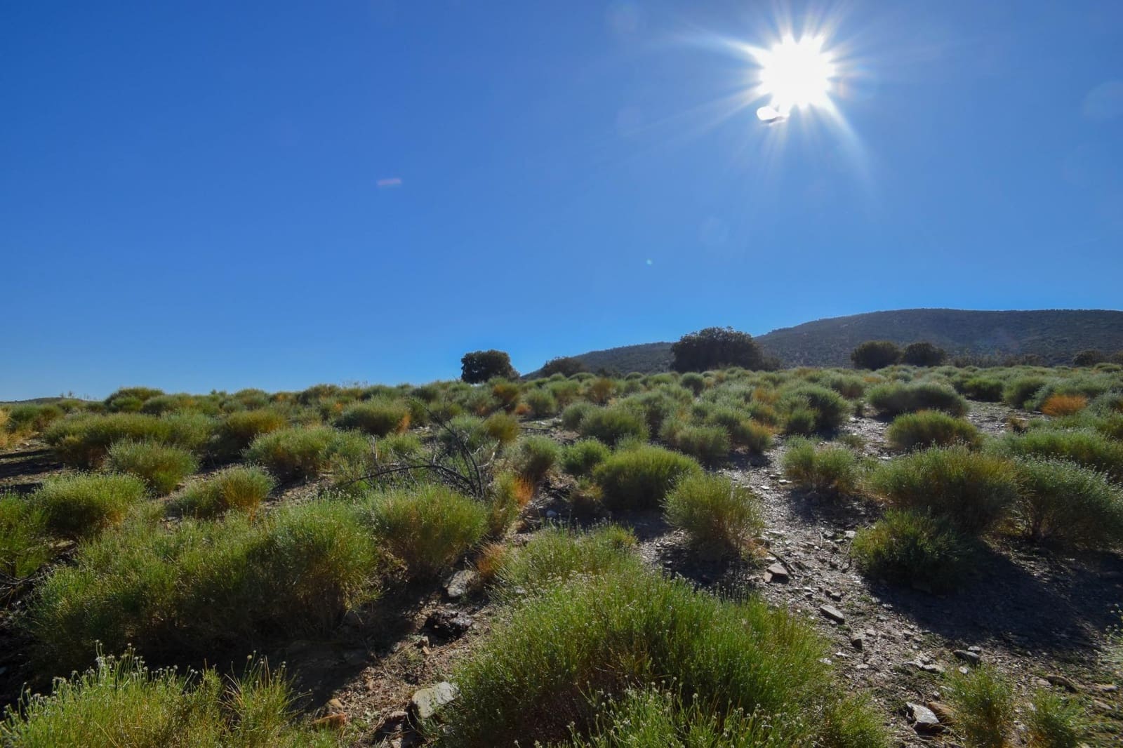 Grunde uden byggetilladelser til salg i Lugros - € 110.000 (Ref: 9020776)