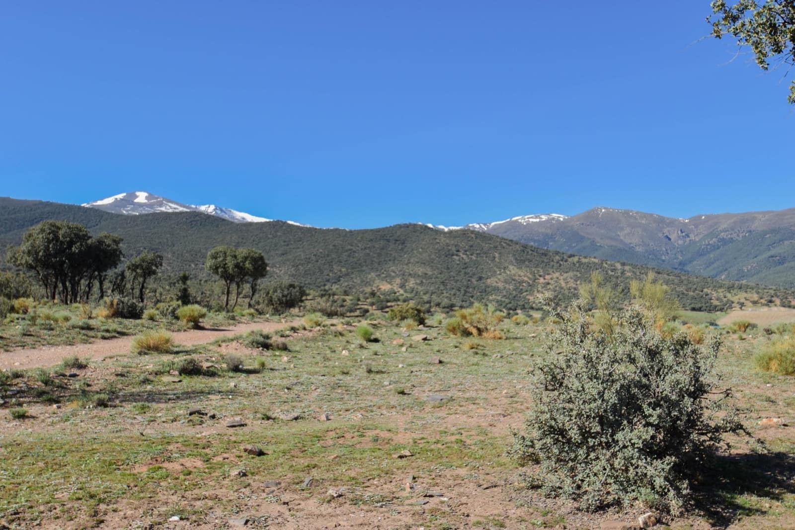 Grunde uden byggetilladelser til salg i Lugros - € 110.000 (Ref: 9020776)