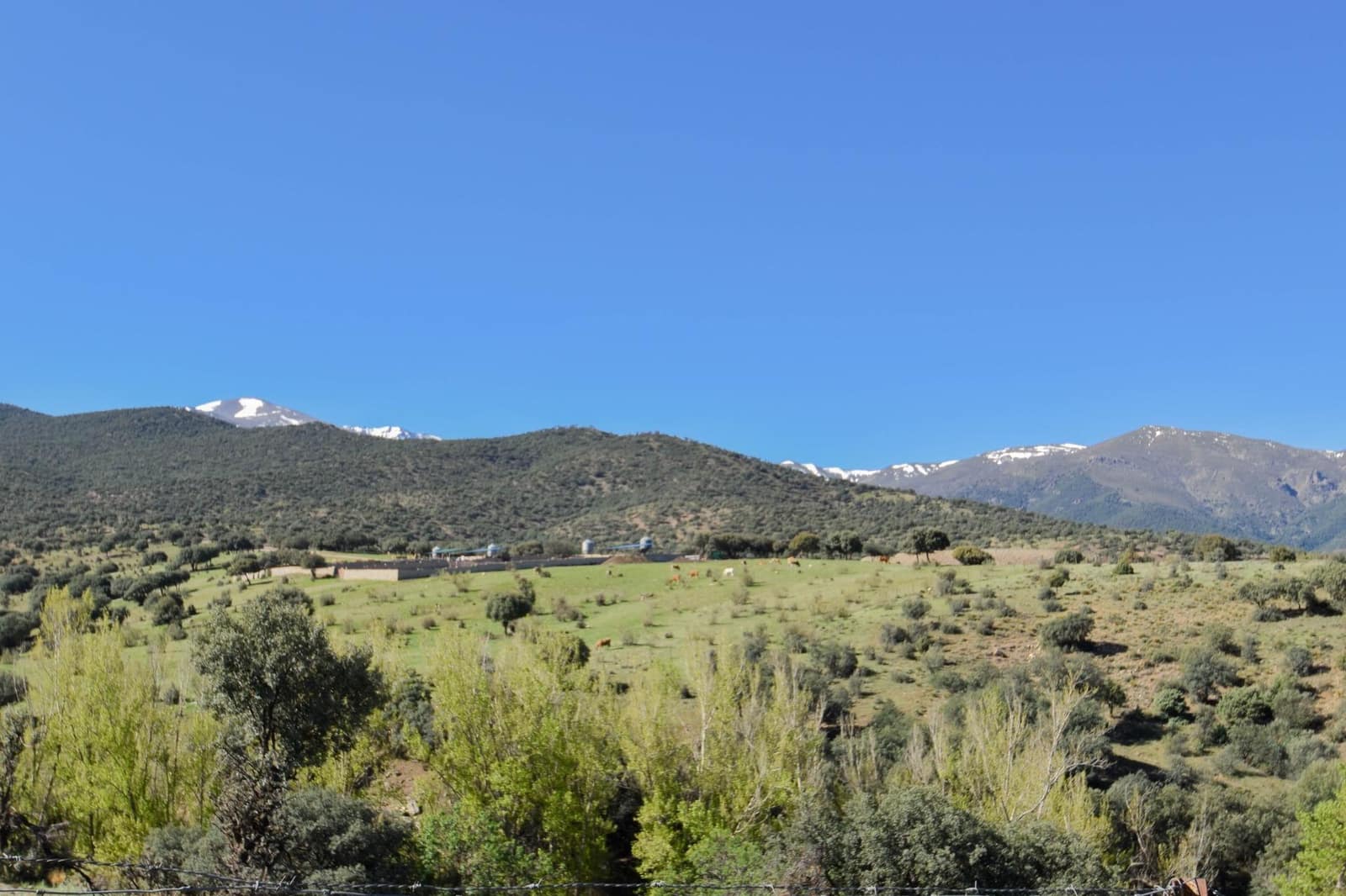 Grunde uden byggetilladelser til salg i Lugros - € 110.000 (Ref: 9020776)