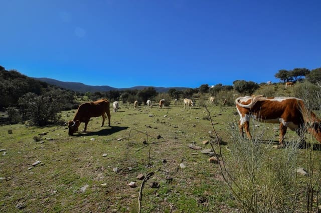 Undeveloped Land for sale in Lugros - € 110,000 (Ref: 9020776)